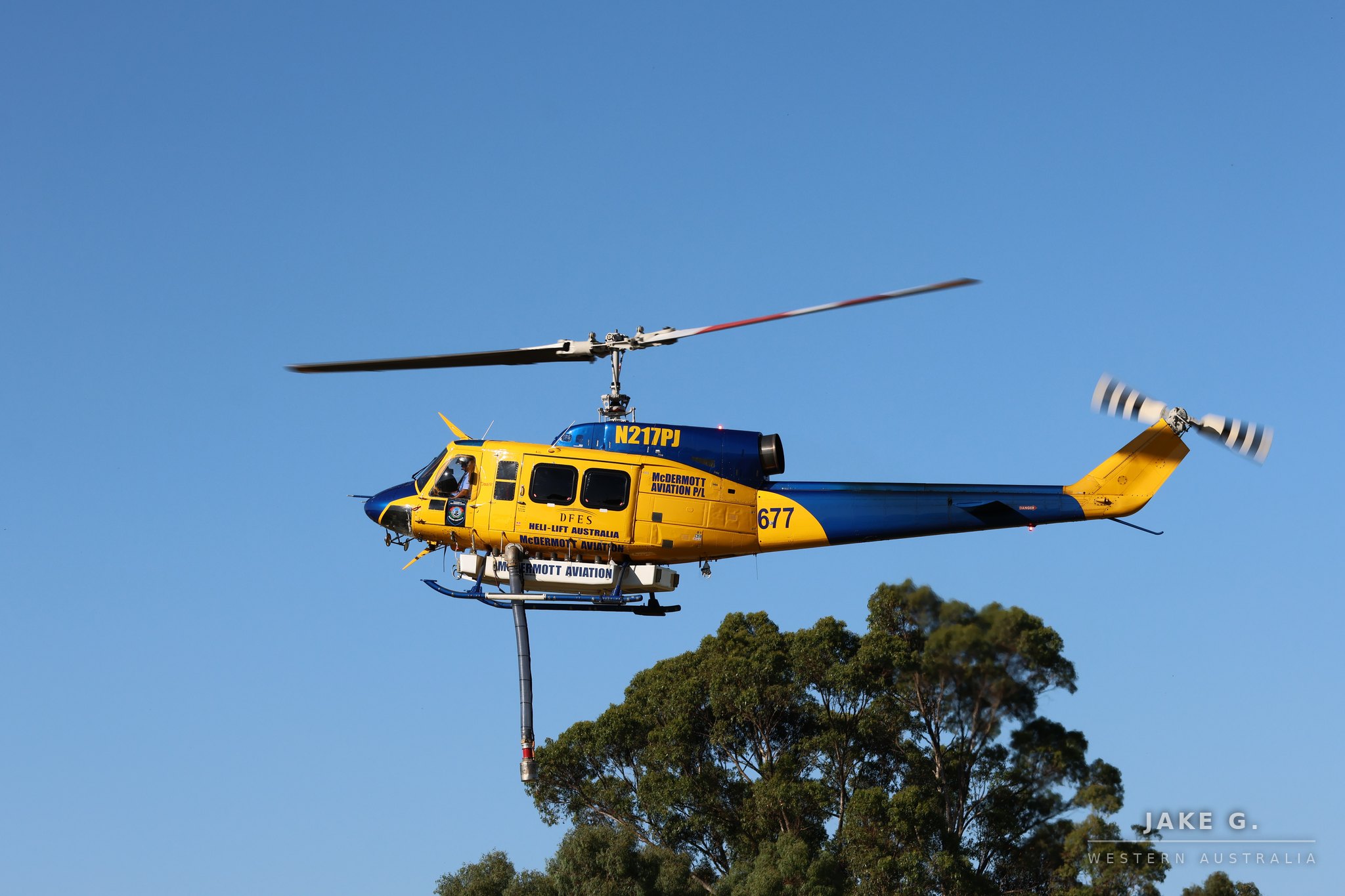 677 over the gums