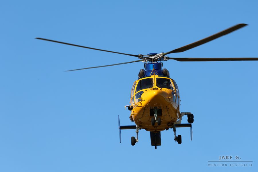 Dauphin climbing out